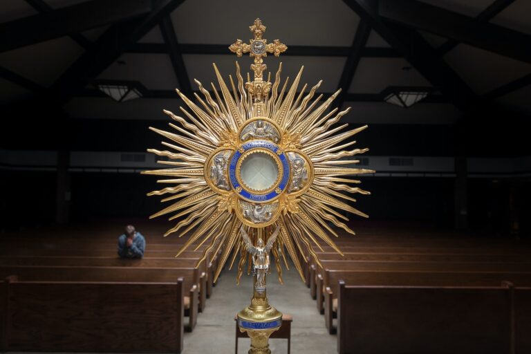 Understanding the Mass and Eucharistic Revival Videos